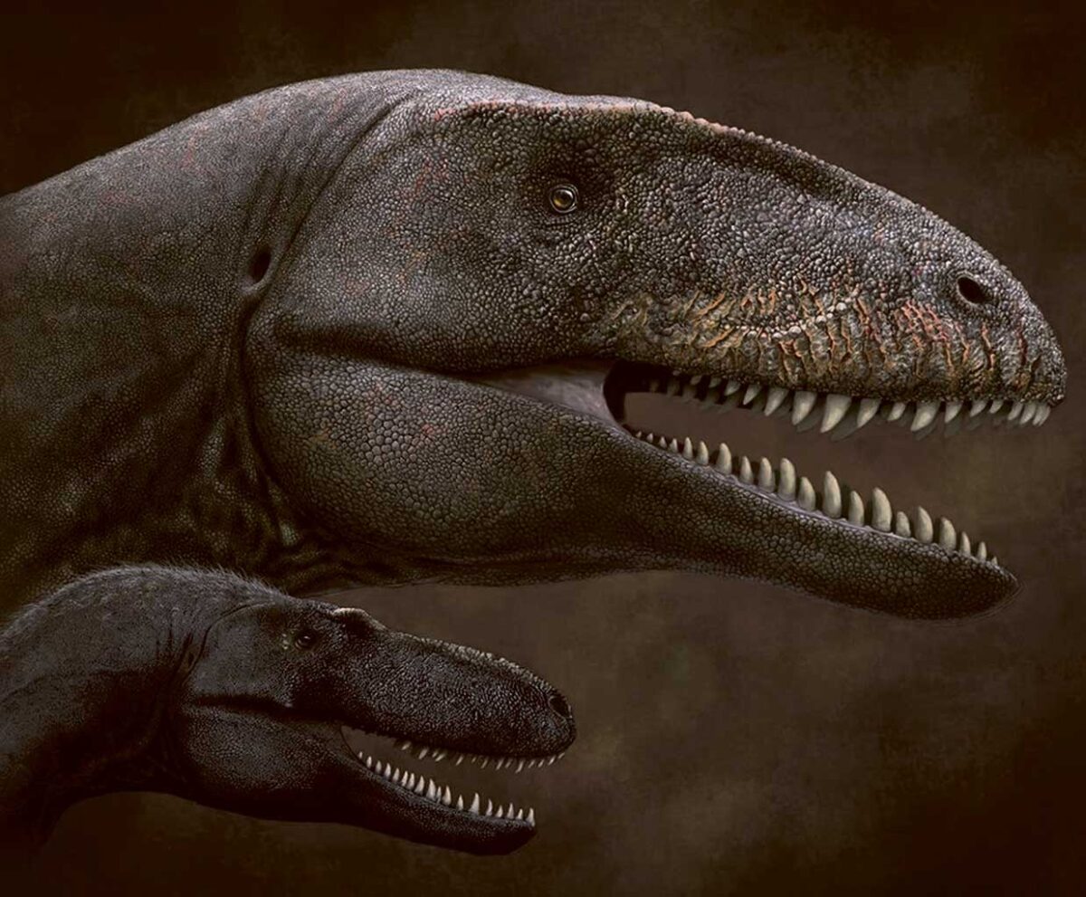 Realistic dinosaur duo with sharp teeth against a dark brown background, one mid-roar